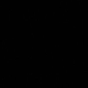 Meet your Posher, Ally